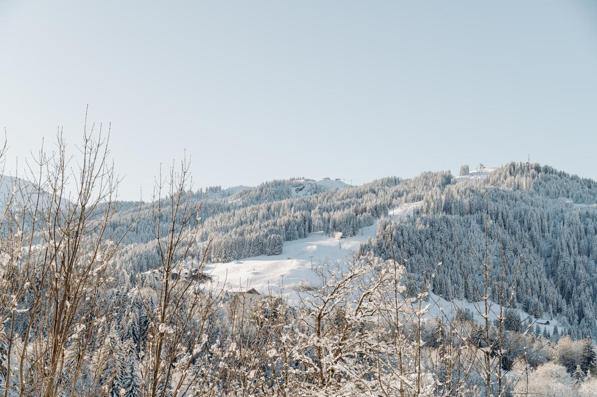 Les Chalets Du Mont D'Arbois & Spa, Megève Exteriér fotografie